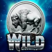 Grand Bison: Wilde
