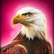 Grand Bison: Eagle