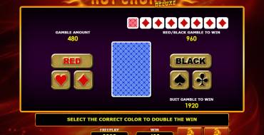 Hot Choice Deluxe: Risk game