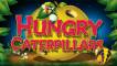 Hungry Caterpillars