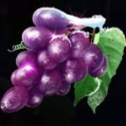 Ice Cold Fruits: Grapes