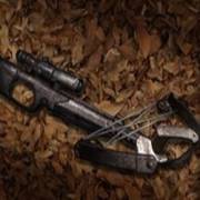 In the Forest: Crossbow