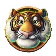 Jumbo Safari: Tiger