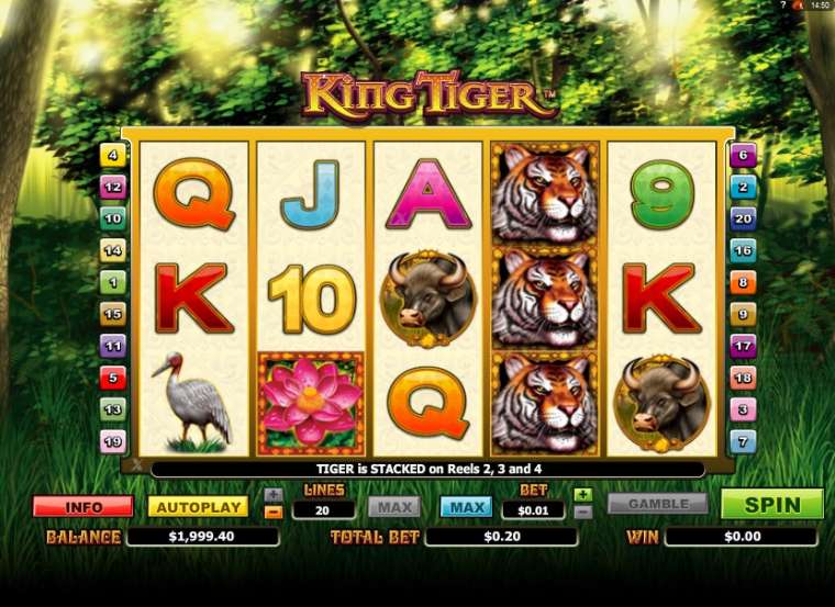 Play King Tiger slot