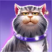 Kitty POPpins: The cat in purple