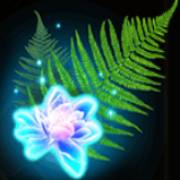 Kupala: Fern
