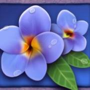 Lady Lava: Flowers