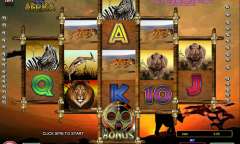 Play Legends of Africa