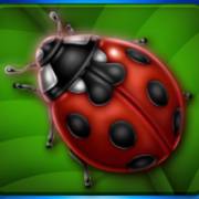 Lovely Lady Deluxe: Ladybug