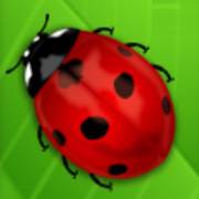 Lovely Lady: Ladybug