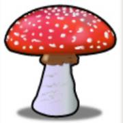Lovely Lady: Fly agaric