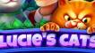 Lucie's Сats
