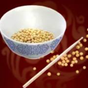 Lucky Casino: Food