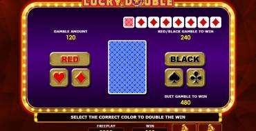 Lucky Double: Risk game