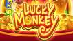 Lucky Monkey