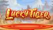 Lucky Tiger