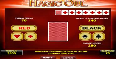 Magic Owl: Risk game