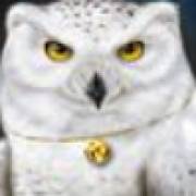 Magic Owl: Owl