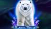 Majestic Winter