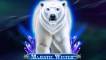 Majestic Winter
