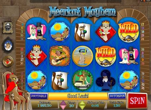 Meerkat Mayhem slot