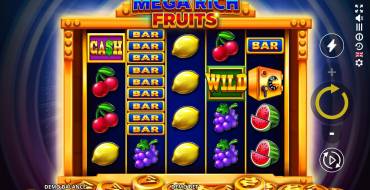 Mega Rich Fruits: Symbols