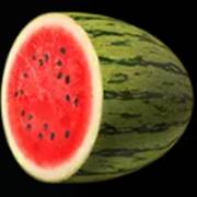 Million 777 Bells: Watermelon