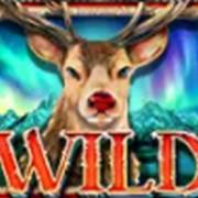 Million Christmas 2: Wild