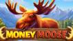 Money Moose