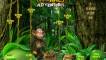 Monkey Adventures
