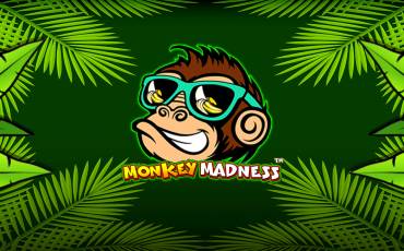 Monkey Madness slot