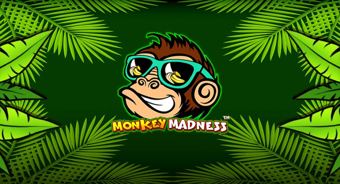 Monkey Madness slot