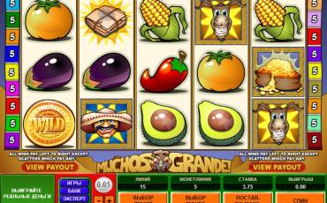 Muchos Grande slot