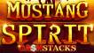 Mustang Spirit Cash Stacks