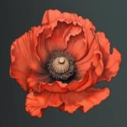 Mystery Garden: The flower is red