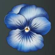 Mystery Garden: Flower blue