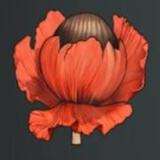 Mystery Garden: Red bud