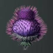 Mystery Garden: Burdock