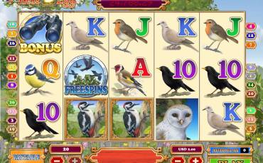 Nest Egg slot