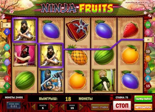 Ninja Fruits slot