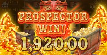 Nugget: Winnings