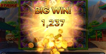 Panda Strike: Winnings