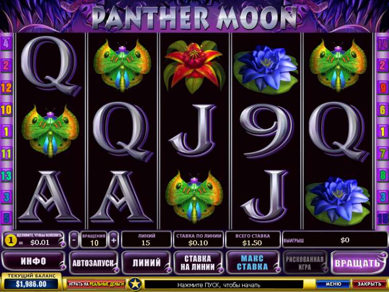 Play Panther Moon  slot