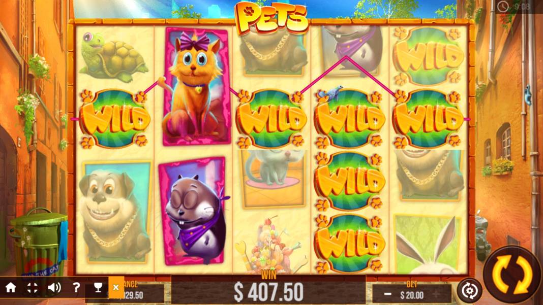 Pets slot