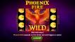 Phoenix Fire