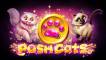 Posh Cats