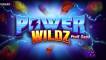 Power Wildz Fruit Saga