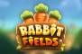 Rabbit Fields
