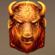 Raging Bison: buffalo