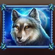 Raging Bison: Wolf